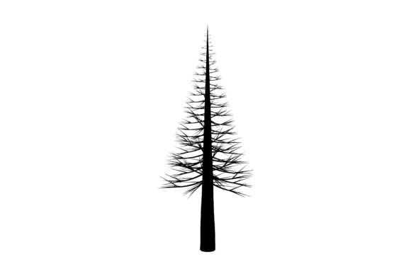 Download Evergreen Fir Tree Silhouette - Premium Resources