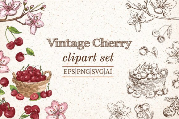 Download Vintage Cherry Clipart Set PNG SVG EPS - Cherry clipart Collection