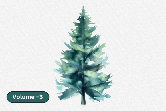 Download Watercolor Tree Clipart, Evergreen Vol–3 - Evergreen Collection